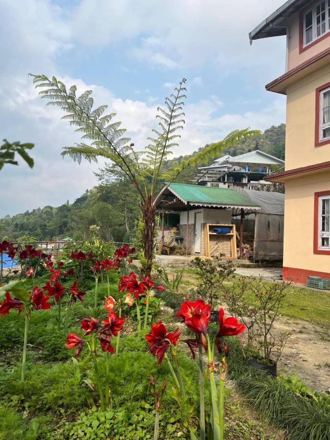 Ifseen Villa เปลลิง ภายนอก รูปภาพ